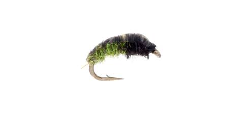 Hotspot Czech Nymph - Caddis Olive 6 Pack CLOSEOUT